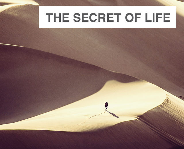 The Secret of Life | The Secret of Life| MusicSpoke