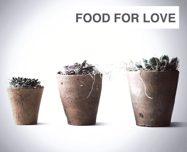 Food for Love | Food for Love| MusicSpoke