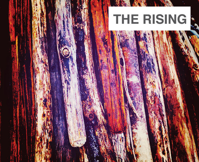 The Rising | The Rising| MusicSpoke