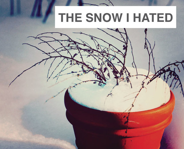 The Snow I Hated | The Snow I Hated| MusicSpoke