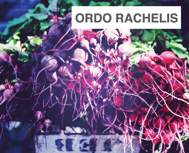 Ordo Rachelis | Ordo Rachelis| MusicSpoke