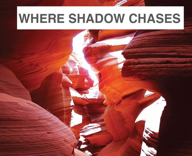 Where Shadow Chases Light | Where Shadow Chases Light| MusicSpoke