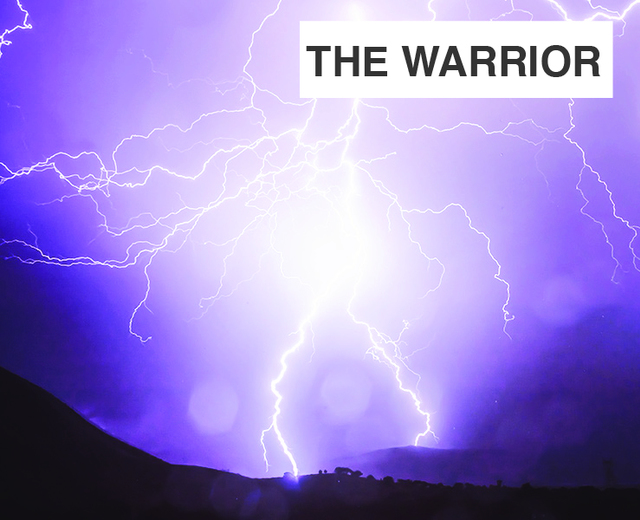 The Warrior | The Warrior| MusicSpoke