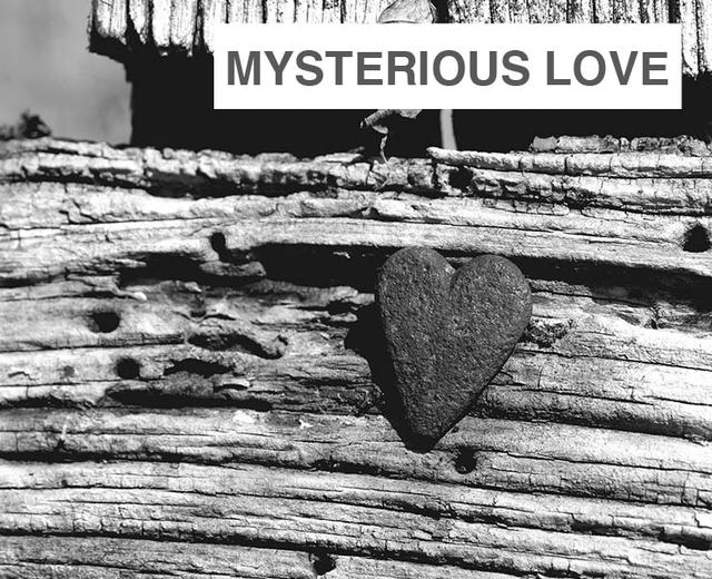 Mysterious Love | Mysterious Love| MusicSpoke