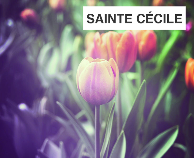 Sainte Cécile | Sainte Cécile| MusicSpoke
