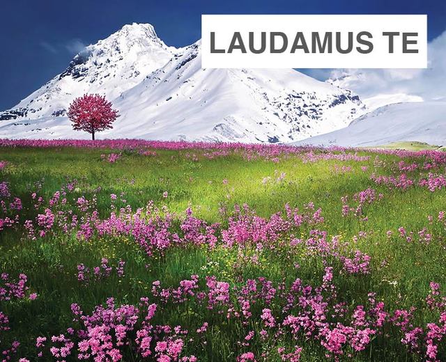 Laudamus Te | Laudamus Te| MusicSpoke