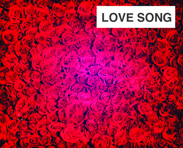 Love Song | Love Song| MusicSpoke