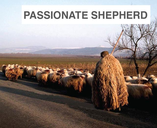 The Passionate Shepherd to His Love | The Passionate Shepherd to His Love| MusicSpoke
