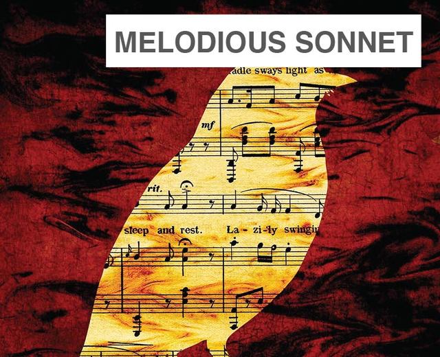 Melodious Sonnet: A Colonial American Mass | Melodious Sonnet: A Colonial American Mass| MusicSpoke