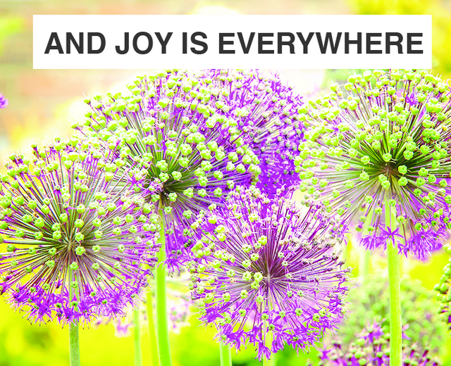 And Joy is Everywhere | And Joy is Everywhere| MusicSpoke