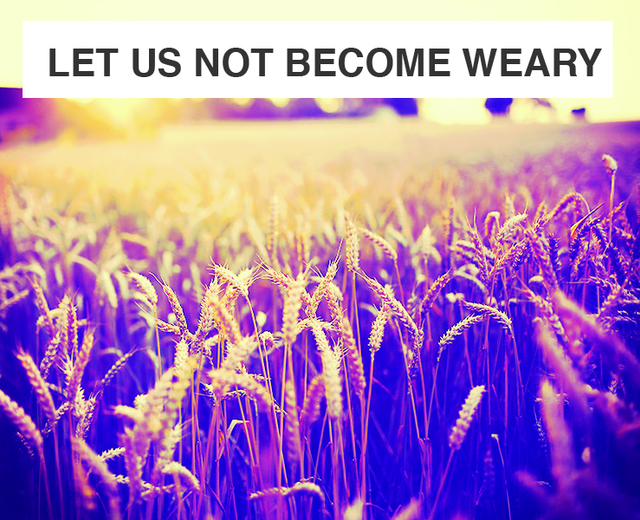 Let Us Not Become Weary | Let Us Not Become Weary| MusicSpoke