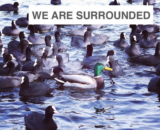 We Are Surrounded | We Are Surrounded| MusicSpoke