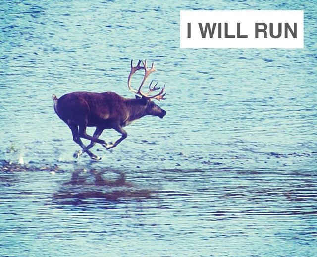 I Will Run | I Will Run| MusicSpoke