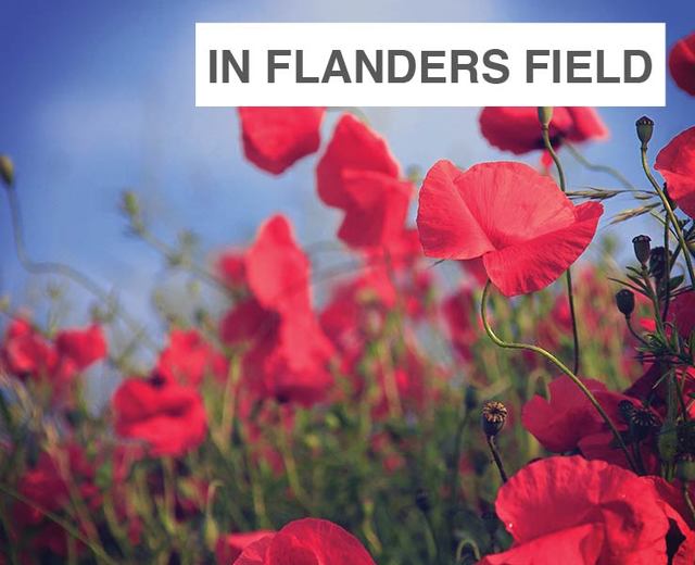 In Flanders Fields | In Flanders Fields| MusicSpoke