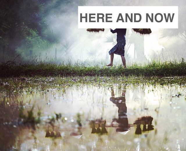 Here and Now | Here and Now| MusicSpoke