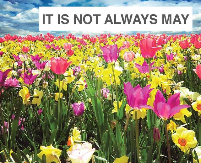 It Is Not Always May | It Is Not Always May| MusicSpoke