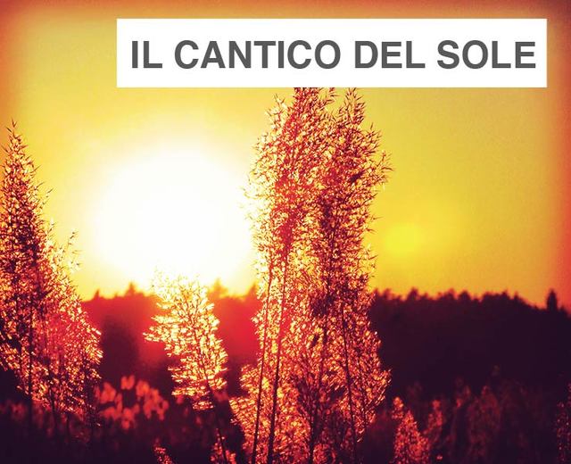 Il Cantico del Sole | Il Cantico del Sole| MusicSpoke