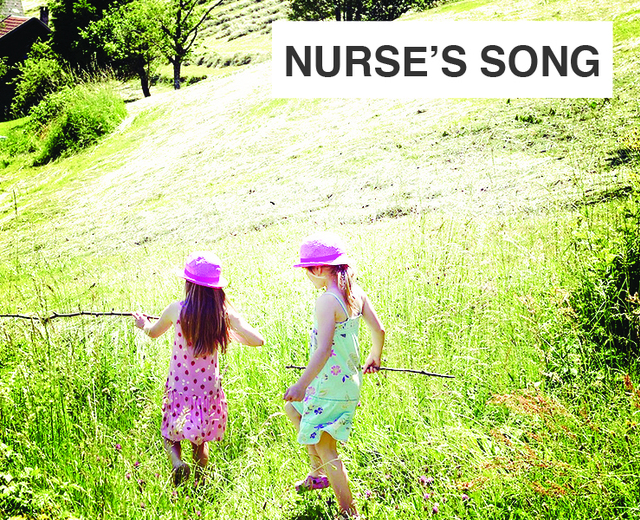 Nurse's Song | Nurse's Song| MusicSpoke