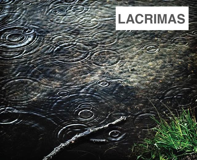 Lacrimas | Lacrimas| MusicSpoke