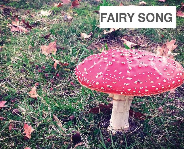 Fairy Song | Fairy Song| MusicSpoke
