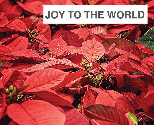 Joy to the World | Joy to the World| MusicSpoke