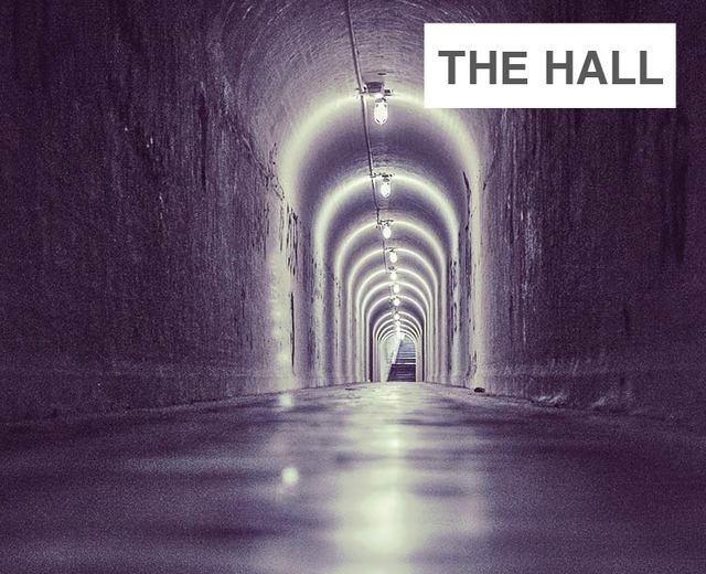 The Hall | The Hall| MusicSpoke