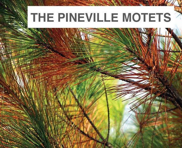 The Pineville Motets | The Pineville Motets| MusicSpoke