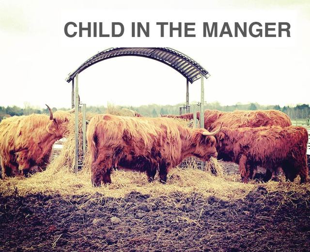 Child in the Manger | Child in the Manger| MusicSpoke