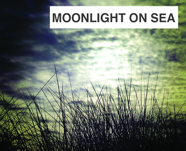 Moonlight on Sea | Moonlight on Sea| MusicSpoke