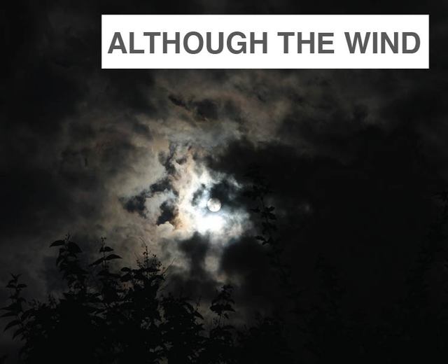 Although the Wind | Although the Wind| MusicSpoke