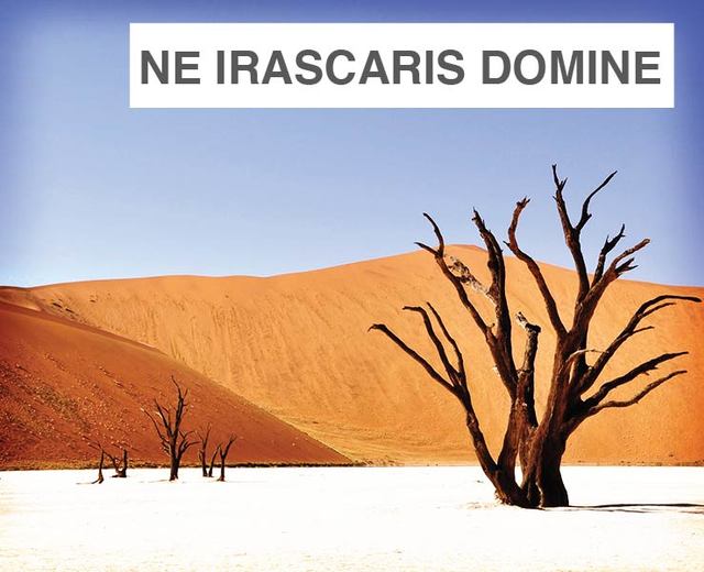 Ne Irascaris Domine | Ne Irascaris Domine| MusicSpoke