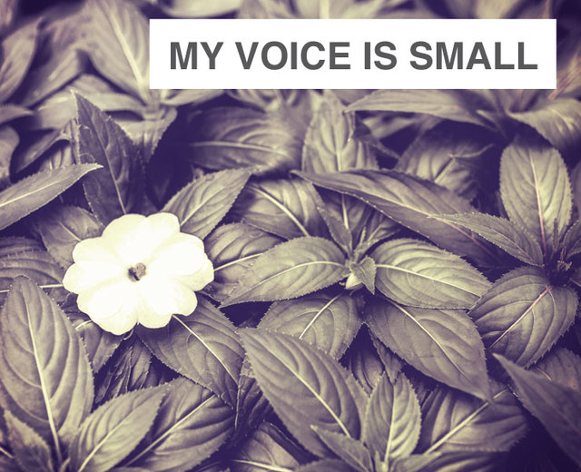 My Voice is Small | My Voice is Small| MusicSpoke