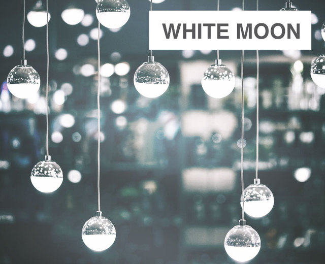 White Moon | White Moon| MusicSpoke