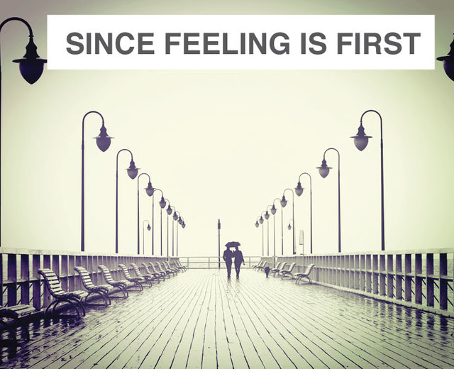 since feeling is first | since feeling is first| MusicSpoke