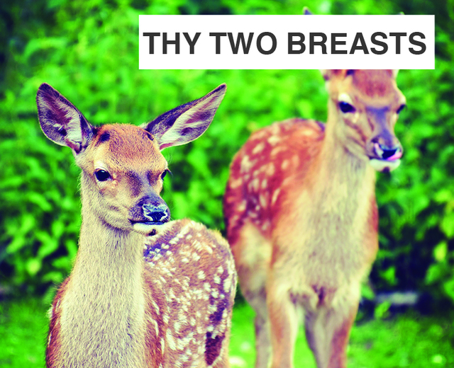 Thy Two Breasts | Thy Two Breasts| MusicSpoke