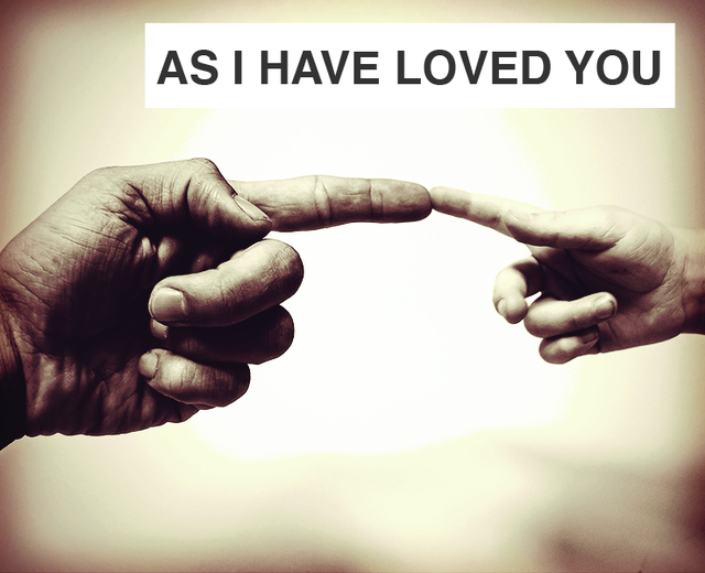 As I Have Loved You | As I Have Loved You| MusicSpoke