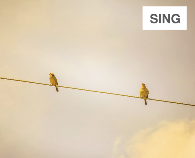 Sing | Sing| MusicSpoke