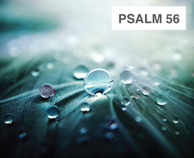 Psalm 56 | Psalm 56| MusicSpoke