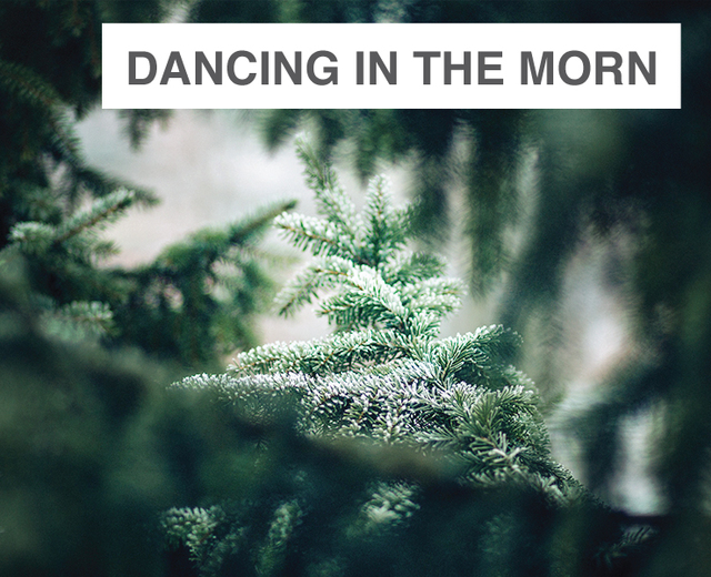 Dancing In The Morn (Christmas Song) | Dancing In The Morn (Christmas Song)| MusicSpoke