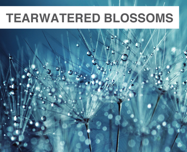 Tearwatered Blossoms | Tearwatered Blossoms| MusicSpoke