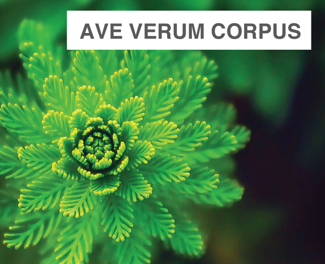 Ave Verum Corpus | Ave Verum Corpus| MusicSpoke