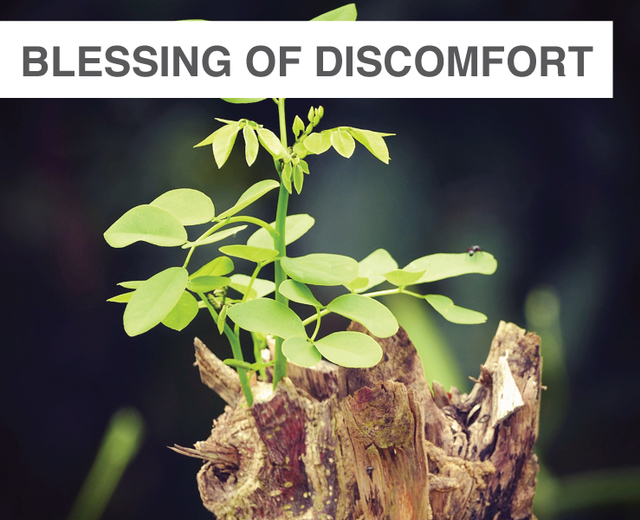 A Blessing of Discomfort | A Blessing of Discomfort| MusicSpoke