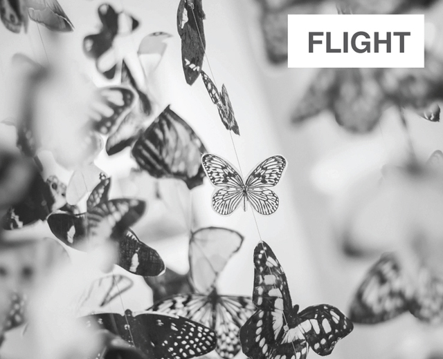 FLIGHT | FLIGHT| MusicSpoke