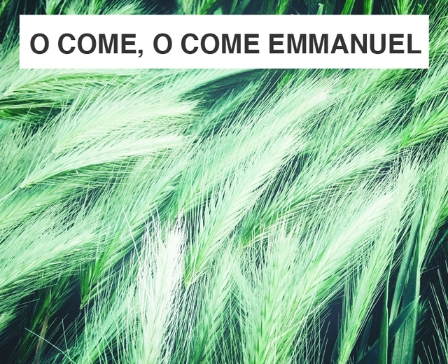 O Come, O Come Emmanuel | O Come, O Come Emmanuel| MusicSpoke