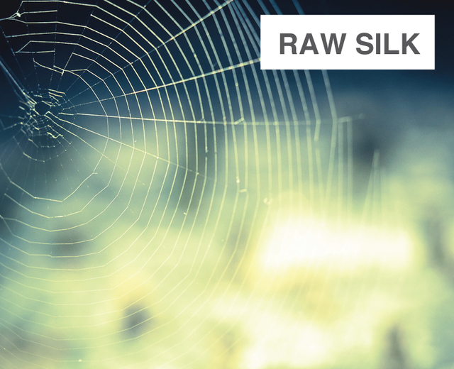 Raw Silk | Raw Silk| MusicSpoke
