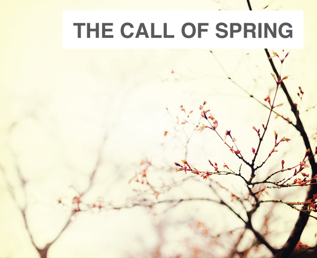 The Call of Spring | The Call of Spring| MusicSpoke