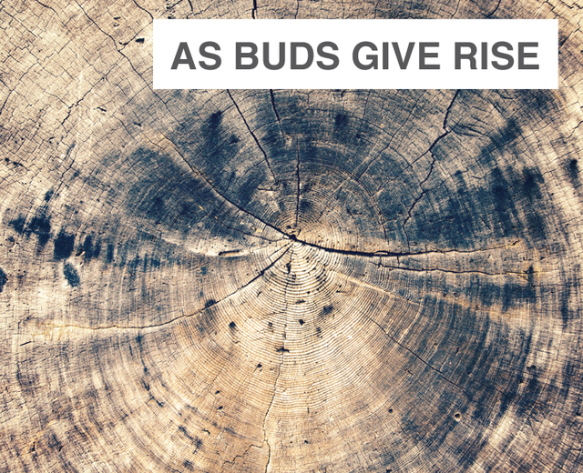 As Buds Give Rise | As Buds Give Rise| MusicSpoke