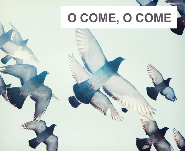 O Come, O Come Emmanuel | O Come, O Come Emmanuel| MusicSpoke
