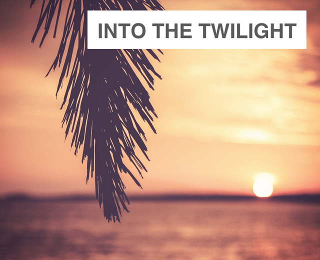 Into The Twilight | Into The Twilight| MusicSpoke