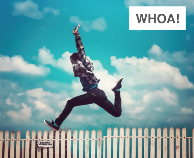 WHOA! | WHOA!| MusicSpoke